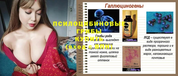 mix Кодинск